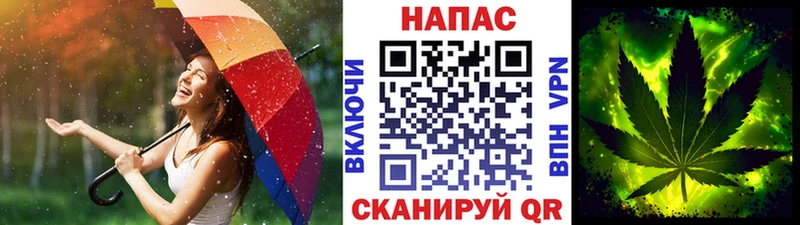 МАРИХУАНА White Widow  ссылка на мегу маркетплейс  Кола 